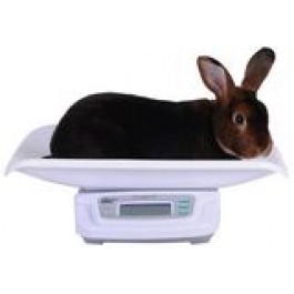 Digitale konijnenweegschaal tot 20kg- op batterijen