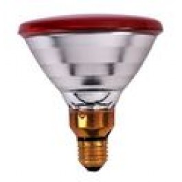 Warmtelamp Powerheat 175 Watt PAR